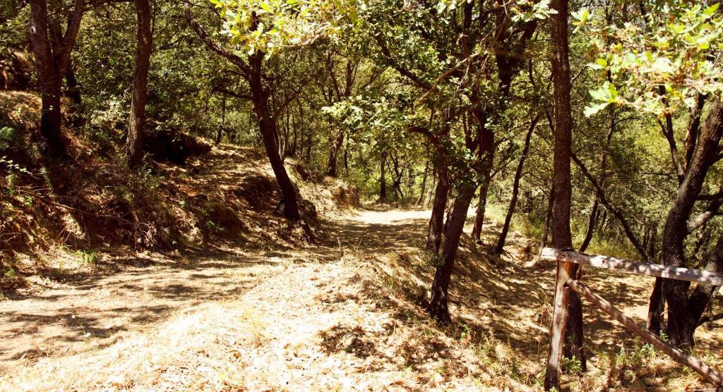 Le Oreadi Francavilla di Sicilia Exterior foto